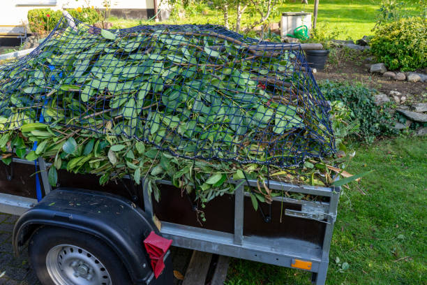 Best Hoarding Cleanup  in Groveville, NJ